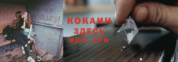 PSILOCYBIN Беломорск