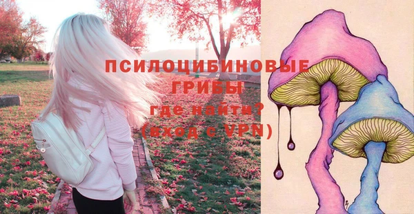 PSILOCYBIN Беломорск