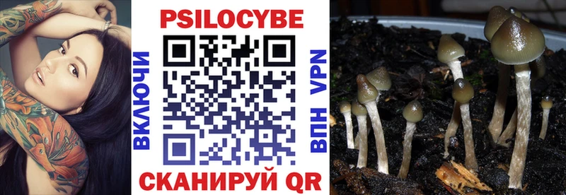 Псилоцибиновые грибы мицелий  дарнет шоп  Вязники 